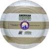 American Heroes - Plates Round 9" "Apache" 8-pack - Image 2
