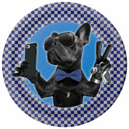 Boy’s 16th Birthday – Plates Round 9″ “Cool Bulldog” 8-pack