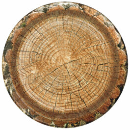 Cut Timber – Plates Round 10″ 8-pack