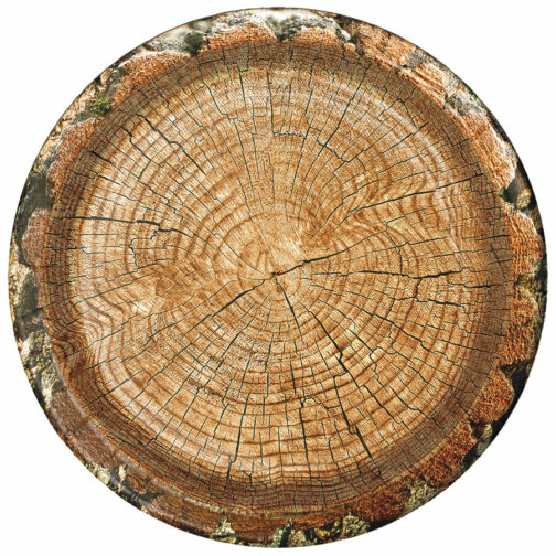 Cut Timber - Plates Round 10" 8-pack - Image 2