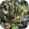 NEXT Camo - Plates Square 9" Deer 16-pack
