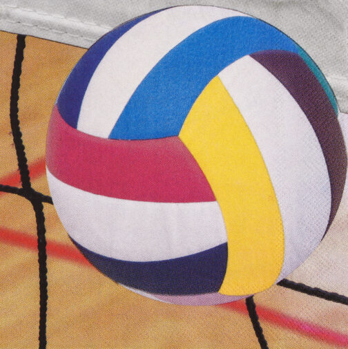Havercamp Party Products - Volleyball Side Out - Luncheon Napkin