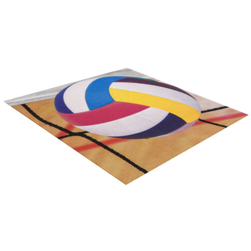 Havercamp Party Products - Volleyball Side Out - Luncheon Napkin