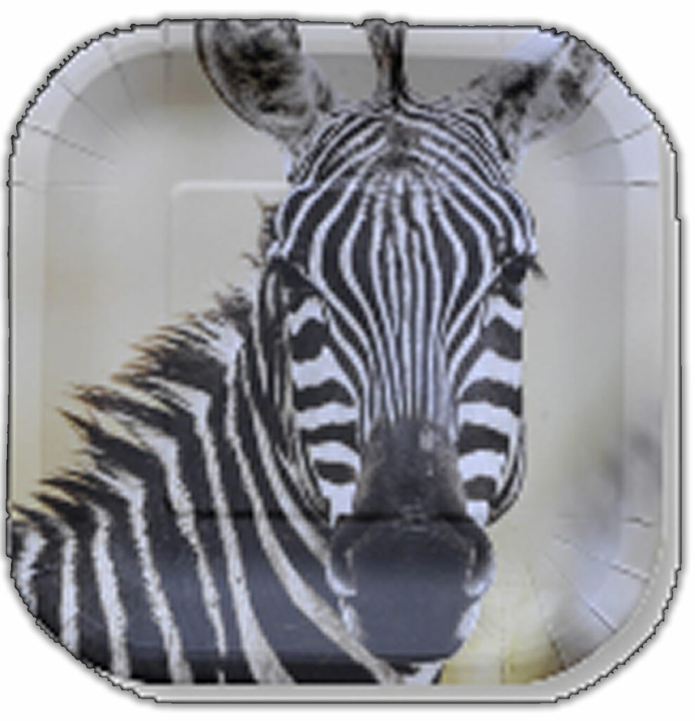 Jungle Safari Plates Square 7" Tiger, Leopard, Giraffe, Zebra 8pack