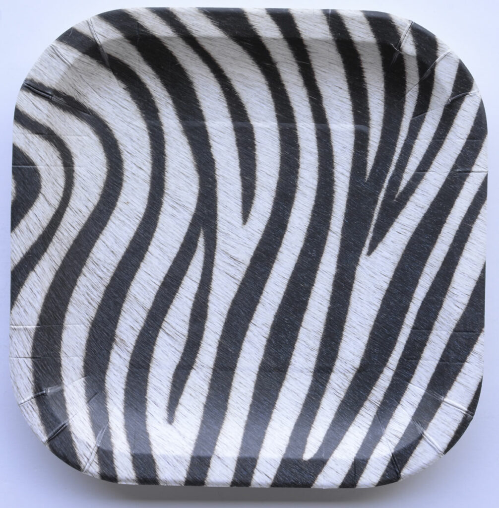 Jungle Safari Plates Square 9" Tiger, Leopard, Giraffe, Zebra 8pack