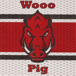 University of Arkansas – Luncheon Napkins – 16 pack