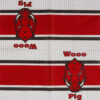 Havercamp Party Products - University of Arkansas - Paper Napkin unfolded