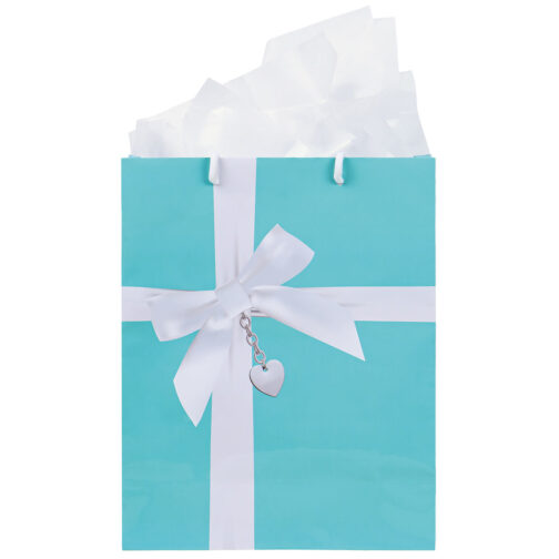 Havercamp Party Products - Pretty Blue Box - Gift Bag