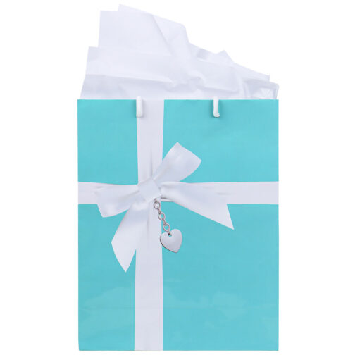 Havercamp Party Products - Pretty Blue Box - Gift Bag