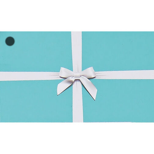 Havercamp Party Products - Pretty Blue Box - Gift bag tag