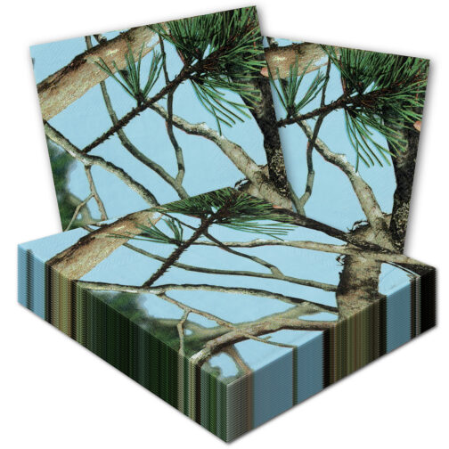 Havercamp Party Products - Lt_Blue_Camo_76637_stack_1200w