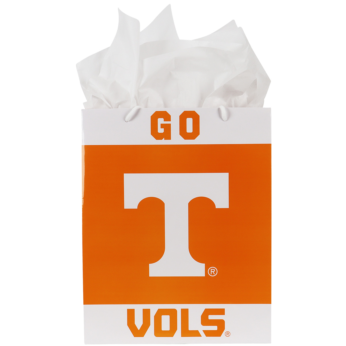 Havercamp Party Gear - Tennessee Vols - Gift Bag with Tissue - Handles Inside - Straight View