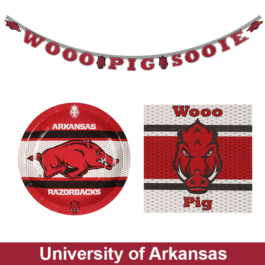 College - Arkansas